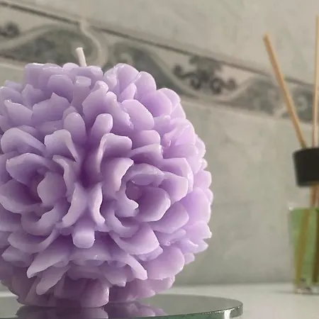 Panoramic Experience Hh-free Parking