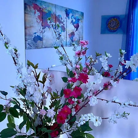 Panoramic Experience Hh-free Parking