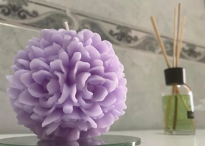 Panoramic Experience Hh-free Parking