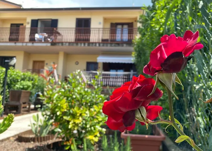 Panoramic Experience Hh-free Parking *