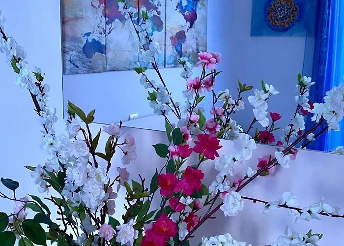 Panoramic Experience Hh-free Parking